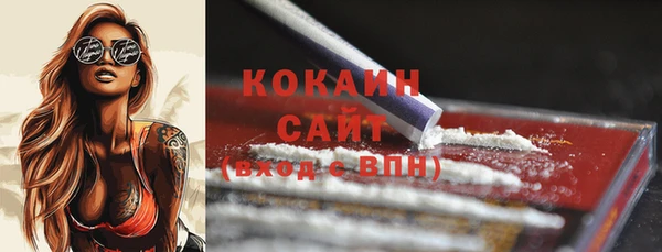 гашиш Касимов
