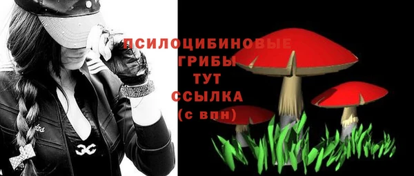 дживик Кинешма
