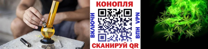 Купить  Дедовск  Каннабис сатива 